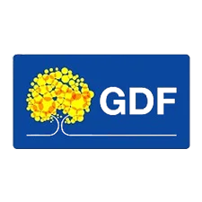 Governo do Distrito Federal (GDF)